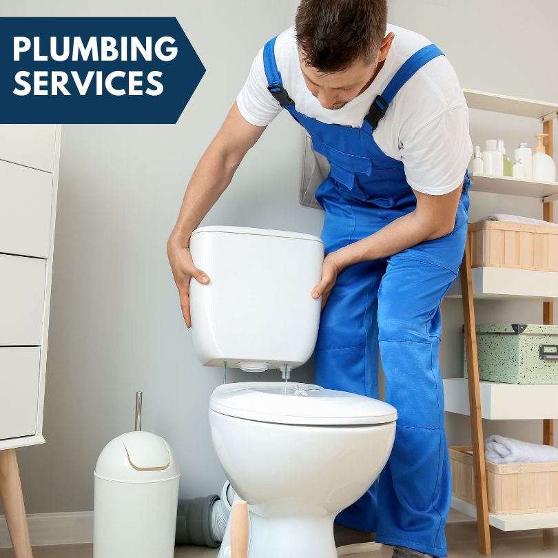 Plumbing Company in Emington, IL